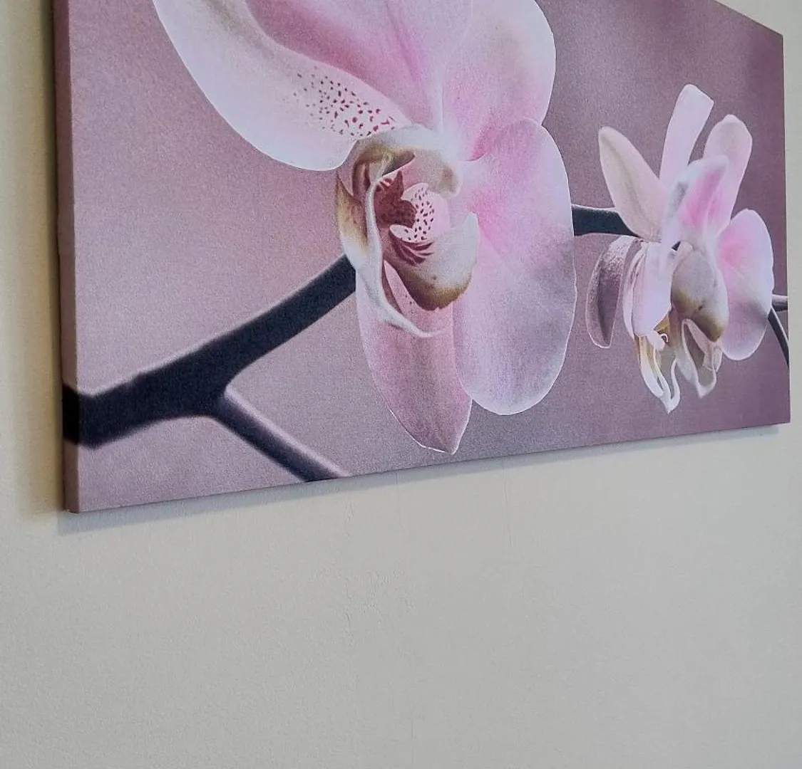 Apartmán Albenga Sweet Bilocale Nuovissimo
